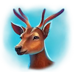 icon 5