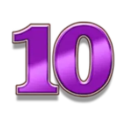 icon 10