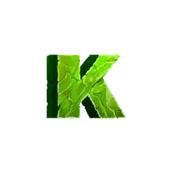 icon 6