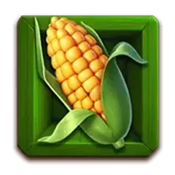icon 4