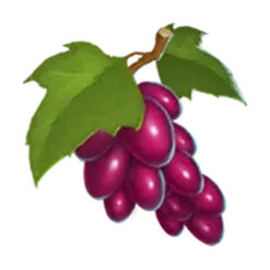 icon 3