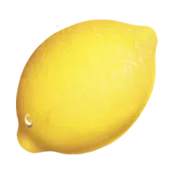 icon 5