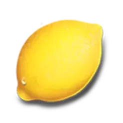 icon 4