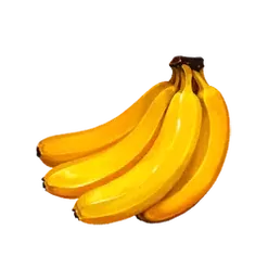 icon 6