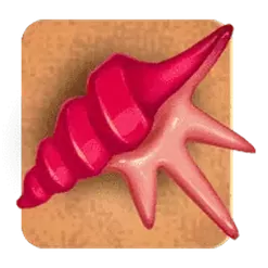 icon 4