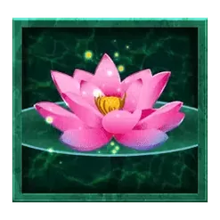 icon 4