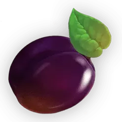 icon 6