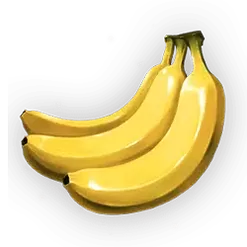 icon 4