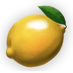 icon 6