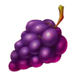 icon 4