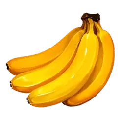 icon 10