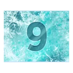 icon 10