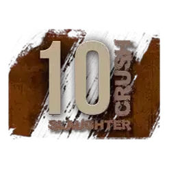 icon 10