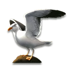 icon 1