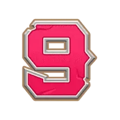 icon 9