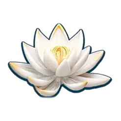 icon 4