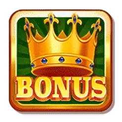 icon 9