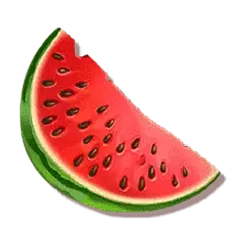 icon 6