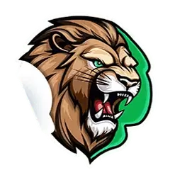 icon 1