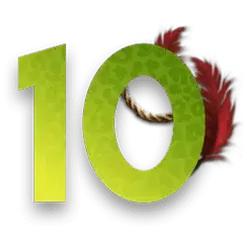 icon 9