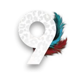 icon 10