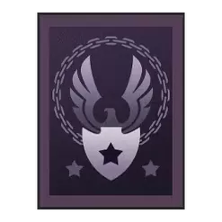 icon 13