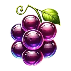 icon 4