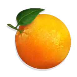 icon 6