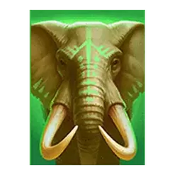 icon 5