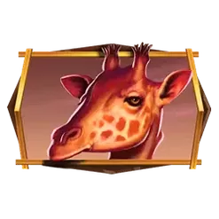icon 5