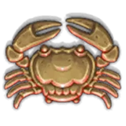 icon 9