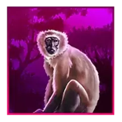 icon 5