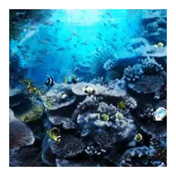 icon 6