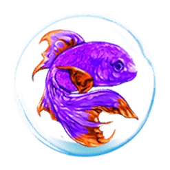 icon 4