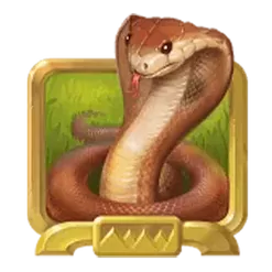 icon 4