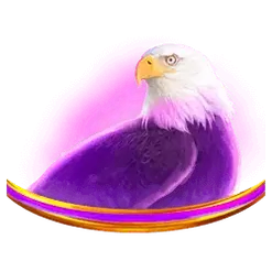 icon 4