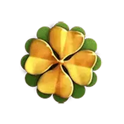 icon 6
