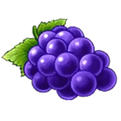icon 7