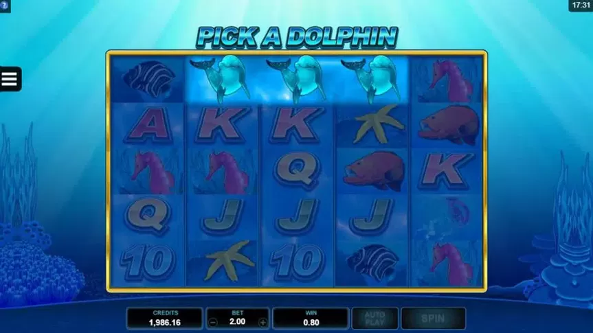 Dolphin Coast slot screenshot 3