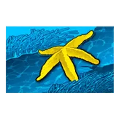 icon 6