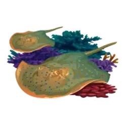 icon 6