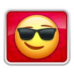 icon 4