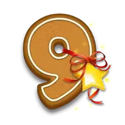 icon 13