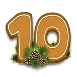 icon 12