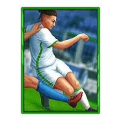 icon 5