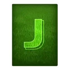 icon 11
