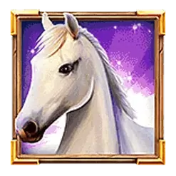 icon 5