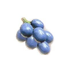 icon 7