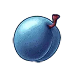 icon 10