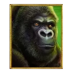 icon 1